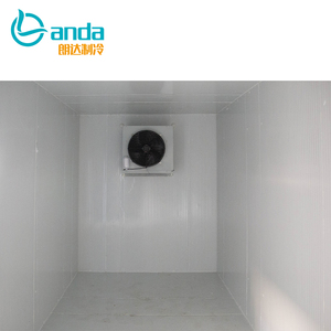 냉동실 전원 콜드 룸에서 고기 야채 과일 생선 저장 산책 - Product Image 4