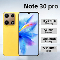Note 30 Pro Steal 5G Muscle, 7.3 Pulgadas, 8000mAh, 16GB, 1TB, Android, Edición Galaxy, Sin Caducidad, Lote de Suministro