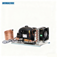 Unité de condensation micro-CC DC12V-24V, petite unité de congélation ZH35G, unité de réfrigération refroidie par air pour congélateur portable, réfrigérateur de camping-car
