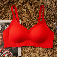 Sujetador OEM personalizado para mujer, sin costuras, push-up, cómodo, sin aros, con copas acolchadas, soporte de elevación, cómodo, inalámbrico, tipo camiseta