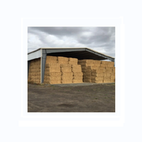 Bâtiments agricoles préfabriqués en acier fabricant de grange à foin fournisseur entrepôt de stockage de ferme Construction