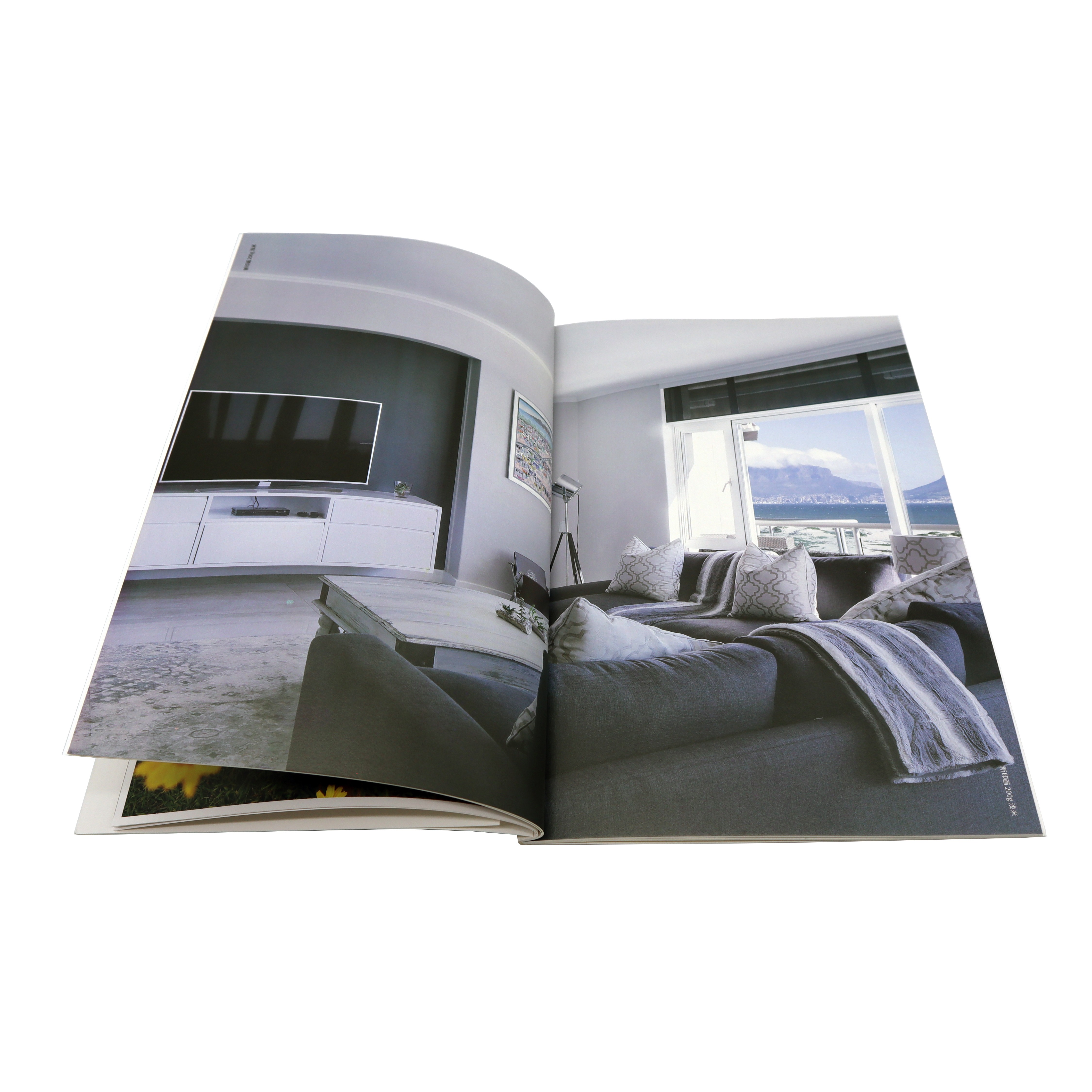 Профессиональная недорогая брошюра/Каталог/Журнал