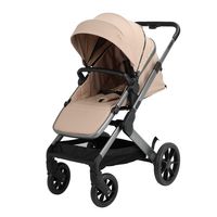 Poussette Bébé à Structure Robuste 0-4 Ans, Landau pour Nouveau-né et Nourrisson, Chariot à Vue Haute, Landau Poussette Bébé
