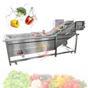 Green Onion Lettuce Pepper 20 Gallon Bubble Magic Fruit and Vegetable Wash Machine Cleaner Device