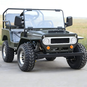 Mini UTV de Fábrica de 125cc, 3 Velocidades con Reversa, 2 Plazas, 2WD, Certificado para Niños y Adultos, Motor de 4 Tiempos, Transmisión Eléctrica - Product Image 1