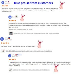 Pinces <span class=keywords><strong>à</strong></span> bascule <span class=keywords><strong>à</strong></span> loquet en acier au carbone en métal galvanisé 201B au détail personnalisé - Product Image 6