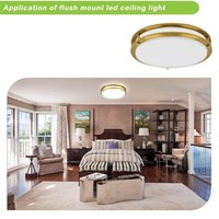 Plafonnier LED à intensité variable Gold Saturn, lumière réglable pour couloir, salle de bain, cuisine