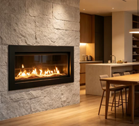 Cheminée à gaz décorative en acier moderne pour appartement, hôtel, villa, insert de chauffage à ventilation directe, dispositif de contrôle, garantie 5+ ans, gaz naturel