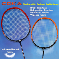 Offre Spéciale : Ensemble de Raquettes de Badminton en Alliage d'Aluminium Légères et Durables, Tête Isométrique, Cadre à Joint en T Anti-Vent pour Débutants