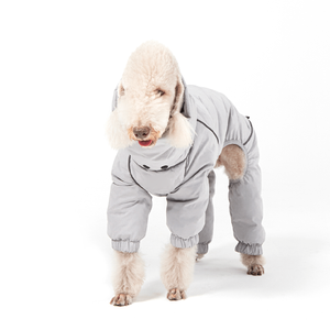 Grand Chien Manteaux Rembourré Personnalisé Pet Mode Vêtements Extérieur Amovible Col Épaisseur Luxe Hiver Chien Bouffée Veste <span class=keywords><strong>pour</strong></span> <span class=keywords><strong>Whippet</strong></span> - Product Image 6