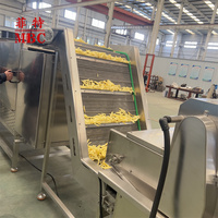 Volautomatische Fabriek Patat En Chips Productielijn