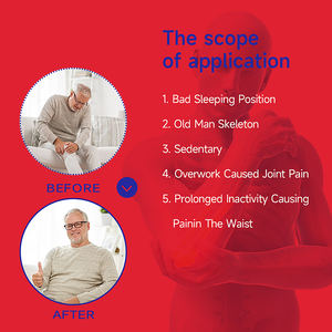 32 unids/caja Tailandia ciempiés dolor parche dolor articular yeso ciática dolor Lumbar molestia pegatina cuidado de la salud - Product Image 5