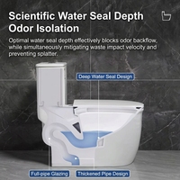 Toilet Keramik Satu Bagian Desain Minimalis Modern Dual-Flush, Kaliber Besar, Model Berdiri, dengan Jet Siphonic, Langsung dari Pabrik
