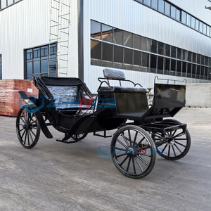 China Electric Horse Drawn Carriage Romantic Electric Manned Sightseeing Carriage Tourist Sightseeing Horse Carriage - Product Image 2