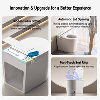 En gros, WC intelligent de luxe moderne avec bidet électrique et siège chauffant automatique