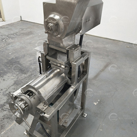 Industriële gemberpers met crusher, 304 roestvrijstalen schroefpers, gember-sap extractor 0,5t/u voor commerciële verwerking