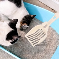 Nouvelle arrivée pelle à litière pour chat, pelle à litière à larges lattes, pelle à litière Kitty pour granulés de pin