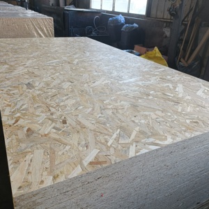 <span class=keywords><strong>Panneaux</strong></span> <span class=keywords><strong>OSB</strong></span>/<span class=keywords><strong>OSB</strong></span> de 1220*2440 mm, vente chaude, <span class=keywords><strong>prix</strong></span> des <span class=keywords><strong>panneaux</strong></span> <span class=keywords><strong>OSB</strong></span>/<span class=keywords><strong>OSB</strong></span> de 18 mm - Product Image 4