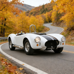 SWICOO Mini-voiture Cobra haute performance 2200W, avec bandes personnalisées, Buggy 2 places de qualité, Voiturette de golf Beetle - Product Image 1