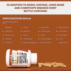 Capsule di Criniera di Leone, Integratore 20-in-1 a base di Funghi per il Supporto dell'Equilibrio dell'Umore e il Sollievo dallo Stress con Turkey Tail, <span class=keywords><strong>Chaga</strong></span>, Cordyceps, Reishi - Product Image 3