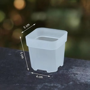 Macetas con Autorriego, Mini Macetas para Plántulas, Macetas de Plástico Translúcido, Macetas para Propagación de Plantas con Reservorio de 5CM - Product Image 3