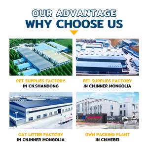 Venta de Proveedor Mejor Arena para Gato de Marca Prémium con Aroma a Lavanda, Control de Olores y Fuerte Aglomeración, Bentonita 100% Natural - Product Image 4