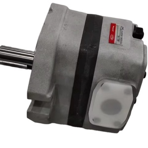 Pompe hydraulique TCP5-F100-MR1-A TCP Toyooki Kogy TCP2 TCP3 TCP4 TCP5 Pompe à engrenages haute pression Pompe à huile - Product Image 1