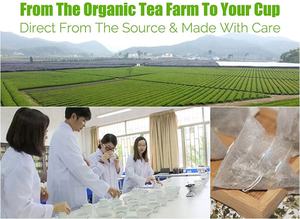 Vente chaude Avec Senna Lipo Detox Dubaï Thé En Gros En Thaïlande - Product Image 5