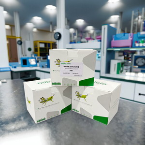 Tùy chỉnh Alkaline phosphatase (AKP/ALP) hoạt động khảo nghiệm Kit - Product Image 3