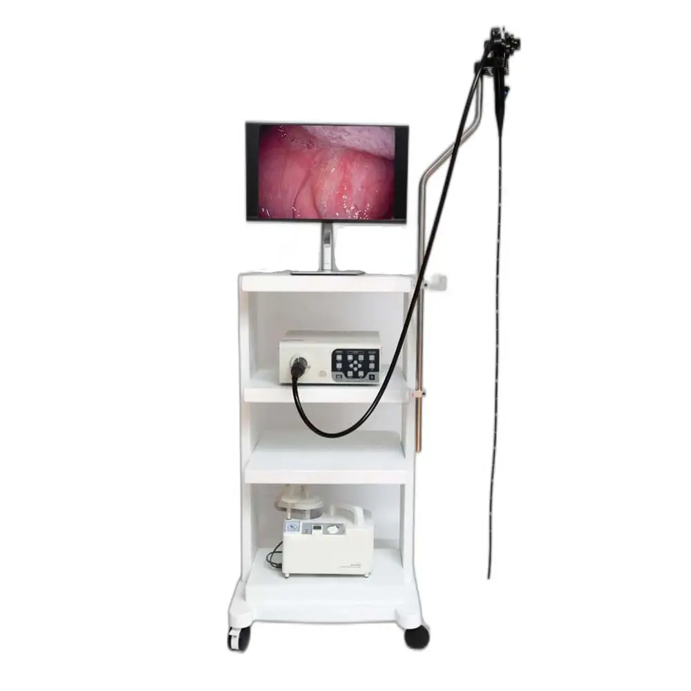 Penjualan Terbaik peralatan medis kamera endoskopi menara laparoskopi sistem pencitraan fleksibel dokter hewan gastroskop endoskopi