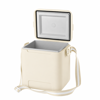 Glacière isotherme 10L de haute qualité en plastique rigide pour le stockage alimentaire, idéale pour les voyages en voiture, la plage, ou comme cadeau promotionnel