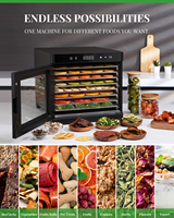 Voedsel-Dehydrator Machine 8 Roestvrijstalen Trays 700W Dehydrator Voor Vlees 24 Uur Timer Fruitdroger