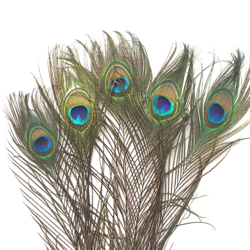 Plumas naturales, plumas de pavo real Indio para decoración de vestidos de novia, disfraces de Carnaval