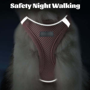 Neues Design Hundegeschirr und Leine Set, Weiches Mesh-Welpengeschirr ohne Ziehen für Kleine und Mittelgroße Hunde und Katzen - Product Image 3