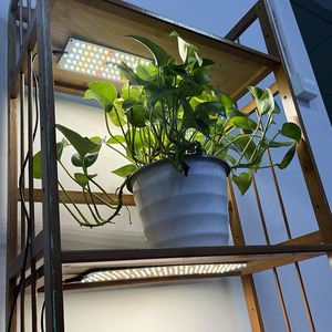 Led lượng tử Tấm quang phổ đầy đủ trong nhà phát triển Ánh Sáng IP65 nhà máy hồ cá mọng nước cây giống cảnh quan nở Đỏ phát thải cho kệ - Product Image 5