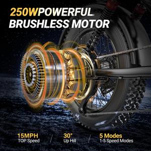 Vélo électrique haute performance 250W, pneus larges de 20 pouces, vélo de montagne électrique à suspension intégrale, tout-terrain, pour chemins en pierre - Product Image 5