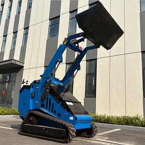 Khách hàng-top DIESEL <span class=keywords><strong>mini</strong></span> <span class=keywords><strong>loader</strong></span> theo dõi cho xây dựng hoạt động tiết kiệm năng lượng Skid Steer <span class=keywords><strong>loader</strong></span> giá trị tốt nhất - Product Image 5
