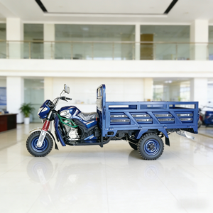 ELICK Fournisseur Direct d'Usine >250cc Tricycle Motorisé Ouvert avec Side-car, Moteur à Essence, Charge Utile 400kg, Vitesse 70km/h - Product Image 2