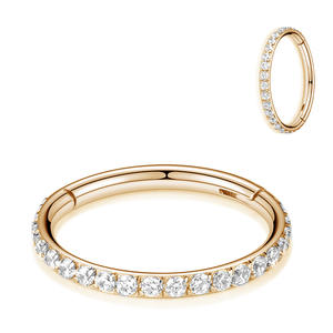 2023 nuovo Clicker orecchio cartilagine Tragus <span class=keywords><strong>Helix</strong></span> Conch orecchino <span class=keywords><strong>Piercing</strong></span> in acciaio inox 316L incernierato segmento cerchio CZ pietra <span class=keywords><strong>anello</strong></span> al naso - Product Image 4