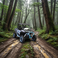Quad tout-terrain haute performance pour adultes, certifié EPA, 1000 cm³, SSV 4x4, moteur V-Twin EFI, transmission automatique, 2WD/4WD commutable, alimenté au gaz