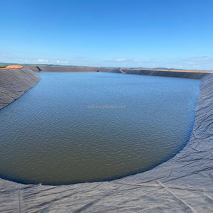 Geomembrana HDPE GM13 de 0.5mm y 0.75mm para Estanques de Peces, Granjas, Revestimientos de Estanques HDPE EPDM, <span class=keywords><strong>Precio</strong></span> de Geomembrana, Revestimiento para Piscinas - Product Image 3