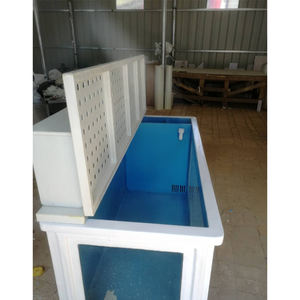 Toptan üretici JSUN özel FRP/GRP fiberglas yeşim levrek balık Koi gölet görüntüleme pencere filtrasyon odası el yatıyordu kalıplama - Product Image 6