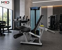 MRD-VS17 Machine Commerciale de Musculation des Jambes Assise (Extension et Flexion) Robuste pour Entraînement du Bas du Corps