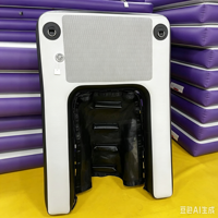 Rampe gonflable pliable pour chien - Plateforme d'entrée aquatique antidérapante pour animaux de compagnie pour piscine