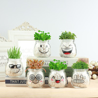 Boneka rumput panjang Modern ramah lingkungan ekspresi keren kreatif pot ornamen hadiah DIY menanam Ion negatif hidroponik