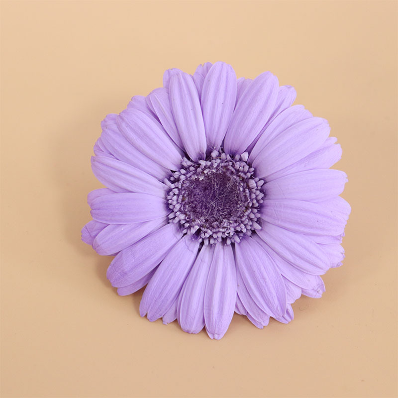 4-5cm Purple