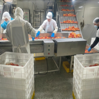 Ligne de traitement automatique complète du jus de pomme avec extracteur de jus |   Projet clé en main de stérilisation UHT et de remplissage aseptique