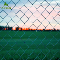 Clôture en treillis métallique galvanisé robuste HT-FENCE, ensemble de jardin, 100 mètres, matériaux personnalisés, pas cher, clôture en treillis métallique de 10 pieds x 6 pieds