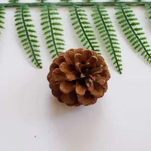 Canção guo 5-6cm cone de pinha de natal, decoração para cones de pinha, ornamentos de pinha, natureza, 1 peça, 2167