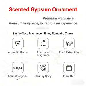 Diffuseur d'huiles essentielles en <span class=keywords><strong>pierre</strong></span> de plâtre écologique personnalisé de luxe pour la décoration de la maison, coffret cadeau pour rafraîchisseur d'air - Product Image 6